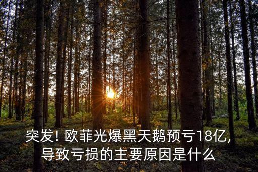歐菲光投資者關系