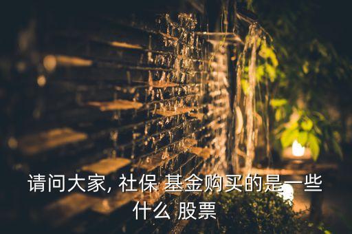 社保107基金持有的股票,2022年社?；鹬貍}股票