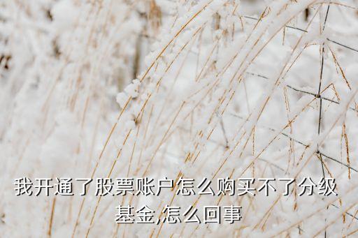 我開通了股票賬戶怎么購買不了分級(jí) 基金,怎么回事