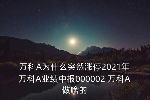  萬科A為什么突然漲停2021年 萬科A業(yè)績(jī)中報(bào)000002 萬科A做啥的
