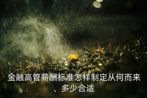  金融高管薪酬標準怎樣制定從何而來、多少合適