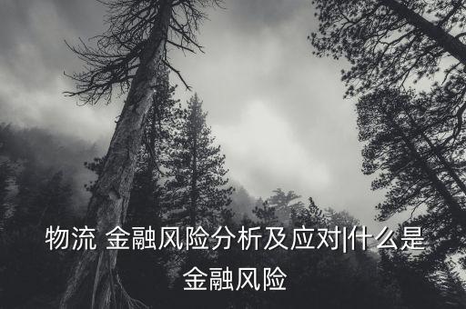  物流 金融風險分析及應(yīng)對|什么是 金融風險