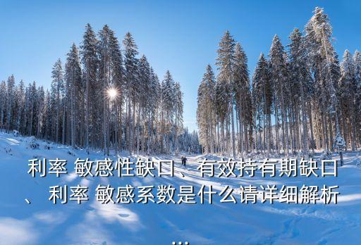  利率 敏感性缺口、有效持有期缺口、 利率 敏感系數(shù)是什么請詳細(xì)解析...