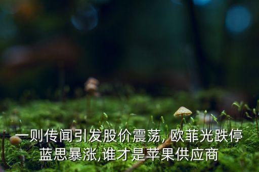 一則傳聞引發(fā)股價震蕩, 歐菲光跌停藍思暴漲,誰才是蘋果供應商