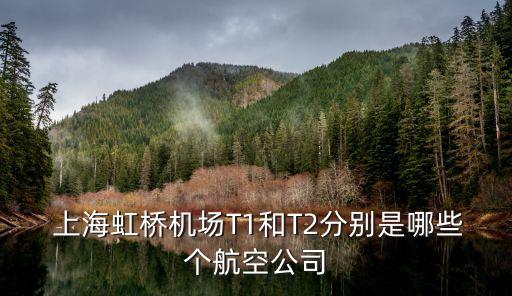 上海開(kāi)南集團(tuán)