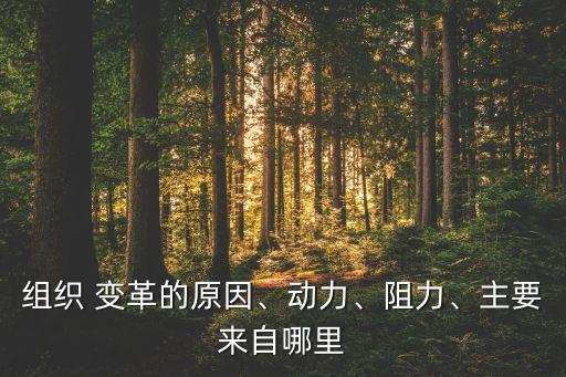 組織 變革的原因、動(dòng)力、阻力、主要來(lái)自哪里