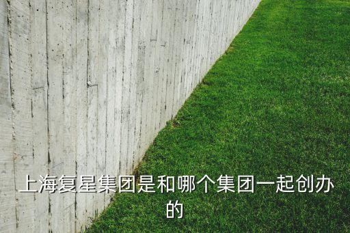  上海復(fù)星集團是和哪個集團一起創(chuàng)辦的