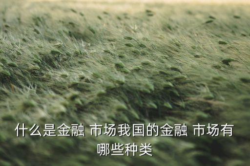 中國(guó)資本市場(chǎng)分類(lèi),中國(guó)的資本市場(chǎng)有哪些