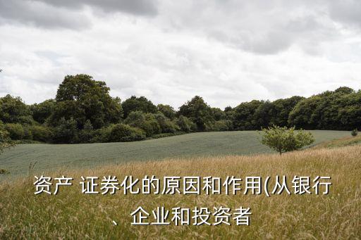 公司型資產證券化,公司為什么進行資產證券化