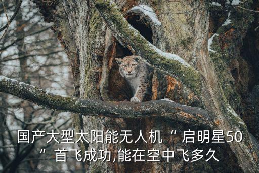 北京啟明星電器有限責任公司,青海啟明星國際旅行社有限責任公司
