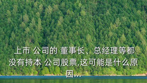  上市 公司的 董事長、總經理等都沒有持本 公司股票,這可能是什么原因...