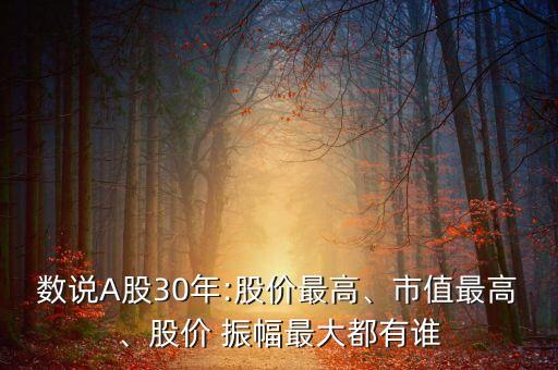 數(shù)說A股30年:股價最高、市值最高、股價 振幅最大都有誰