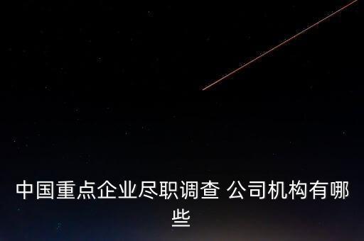 中國重點企業(yè)盡職調(diào)查 公司機(jī)構(gòu)有哪些