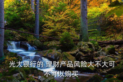  光大銀行的 理財(cái)產(chǎn)品風(fēng)險(xiǎn)大不大可不可以購買