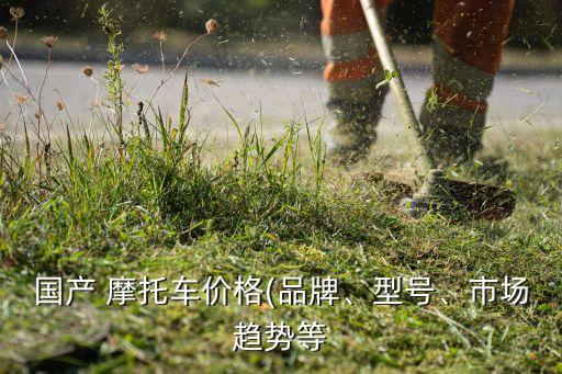 國產(chǎn) 摩托車價(jià)格(品牌、型號、市場趨勢等