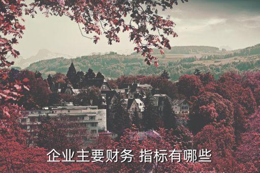 企業(yè)主要財務 指標有哪些
