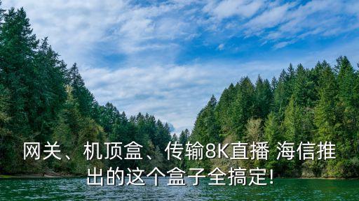 網(wǎng)關(guān)、機(jī)頂盒、傳輸8K直播 海信推出的這個(gè)盒子全搞定!