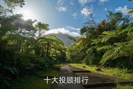 想投資公司排名,中國(guó)十大投資公司排名