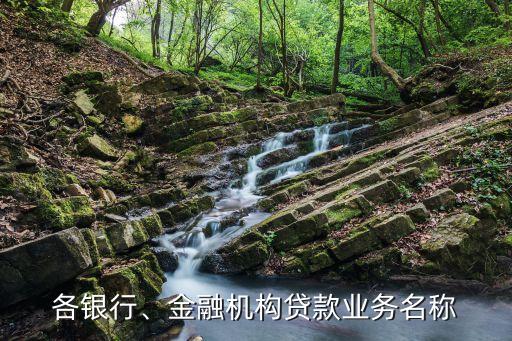 各銀行、金融機(jī)構(gòu)貸款業(yè)務(wù)名稱