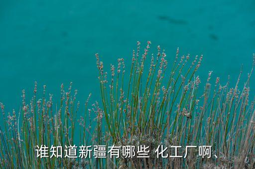 誰(shuí)知道新疆有哪些 化工廠啊、