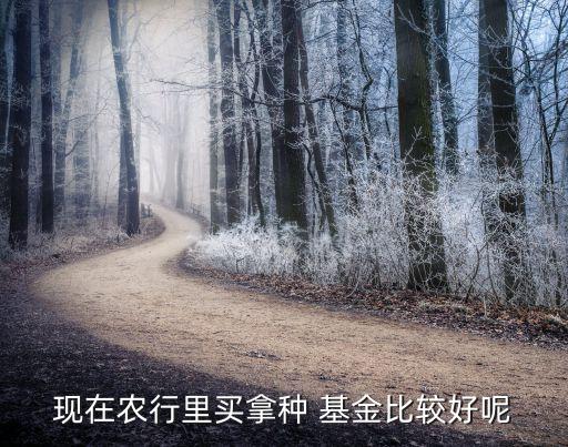 現在農行里買拿種 基金比較好呢