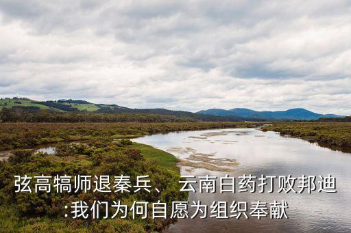 弦高犒師退秦兵、 云南白藥打敗邦迪:我們?yōu)楹巫栽笧榻M織奉獻