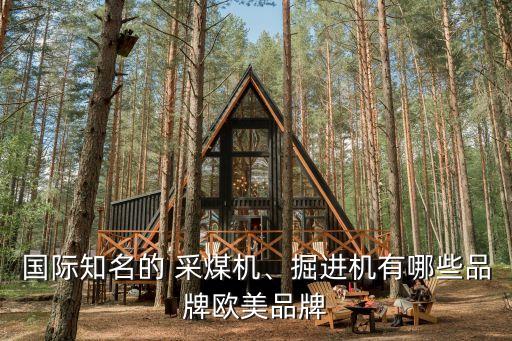 國(guó)際知名的 采煤機(jī)、掘進(jìn)機(jī)有哪些品牌歐美品牌