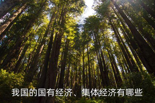 我國(guó)的國(guó)有經(jīng)濟(jì)、集體經(jīng)濟(jì)有哪些