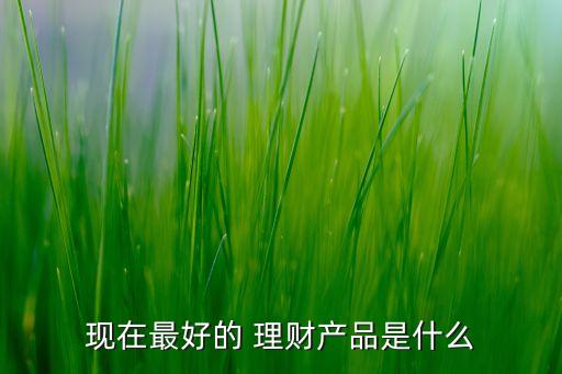 現(xiàn)在最好的 理財產(chǎn)品是什么