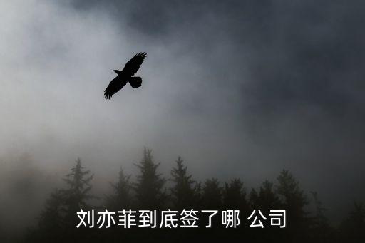 美國(guó)最大的經(jīng)紀(jì)公司