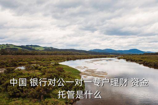 中國 銀行對公一對一專戶理財(cái) 資金 托管是什么