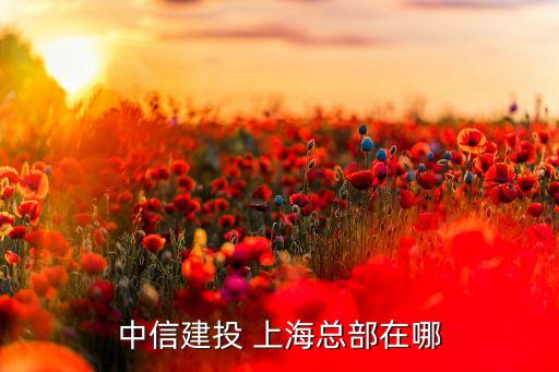 中信建投 上?？偛吭谀? class=