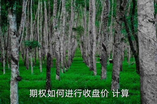  期權(quán)如何進(jìn)行收盤價 計算