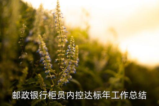 郵政銀行柜員內(nèi)控達標年工作總結