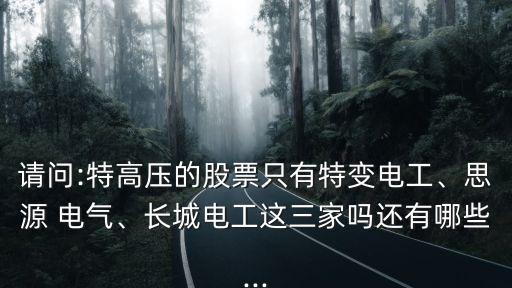請問:特高壓的股票只有特變電工、思源 電氣、長城電工這三家嗎還有哪些...