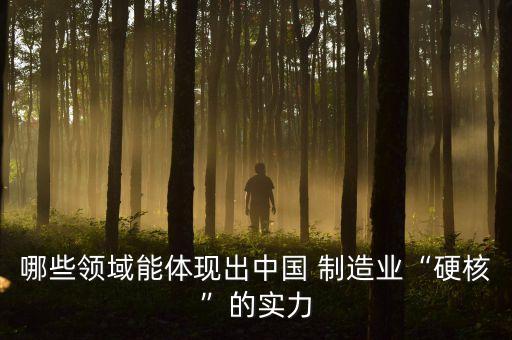哪些領域能體現出中國 制造業(yè)“硬核”的實力