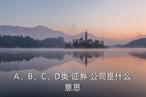 A、B、C、D類 證券 公司是什么意思