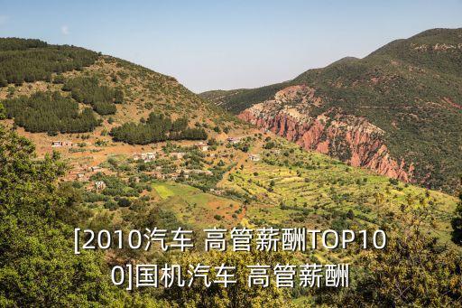 [2010汽車(chē) 高管薪酬TOP100]國(guó)機(jī)汽車(chē) 高管薪酬