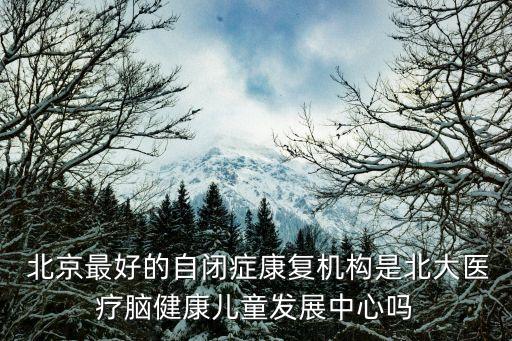  北京最好的自閉癥康復機構(gòu)是北大醫(yī)療腦健康兒童發(fā)展中心嗎