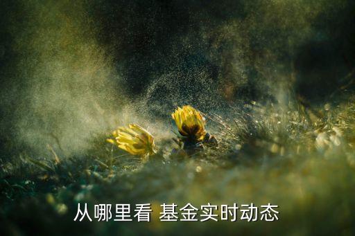 從哪里看 基金實(shí)時(shí)動態(tài)