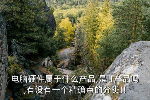 電腦硬件屬于什么產(chǎn)品,是IT產(chǎn)品嗎,有沒(méi)有一個(gè)精確點(diǎn)的分類(lèi)!!