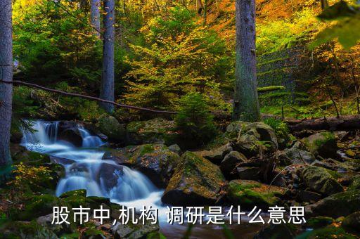 股市中,機構(gòu) 調(diào)研是什么意思
