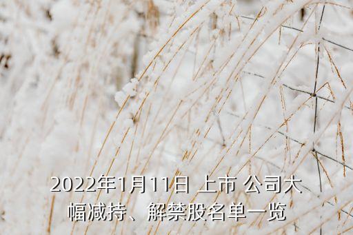 2022年1月11日 上市 公司大幅減持、解禁股名單一覽