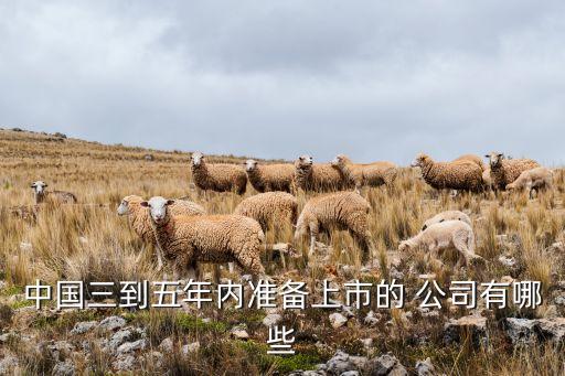 中國三到五年內準備上市的 公司有哪些