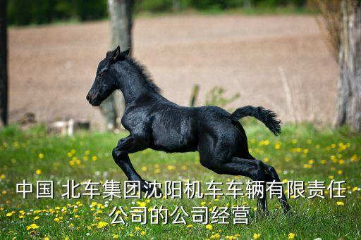 中國(guó) 北車集團(tuán)沈陽機(jī)車車輛有限責(zé)任公司的公司經(jīng)營(yíng)