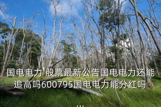 國(guó)電電力 股票最新公告國(guó)電電力還能追高嗎600795國(guó)電電力能分紅嗎...