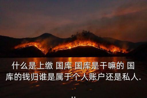 人民銀行經(jīng)理國(guó)庫30周年,什么作為人民銀行經(jīng)理國(guó)庫的補(bǔ)充