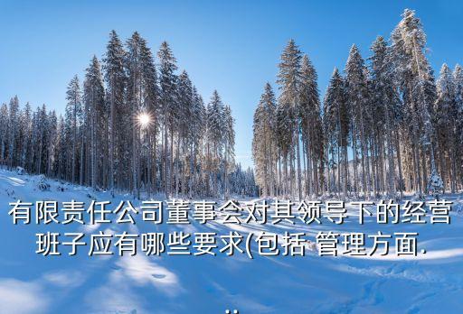 有限責(zé)任公司董事會(huì)對(duì)其領(lǐng)導(dǎo)下的經(jīng)營班子應(yīng)有哪些要求(包括 管理方面...