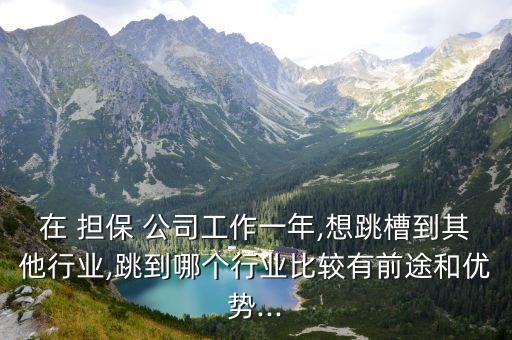 民營擔保公司出路,中國民營擔保公司排名