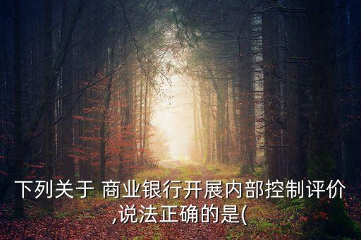 下列關(guān)于 商業(yè)銀行開展內(nèi)部控制評價(jià),說法正確的是(